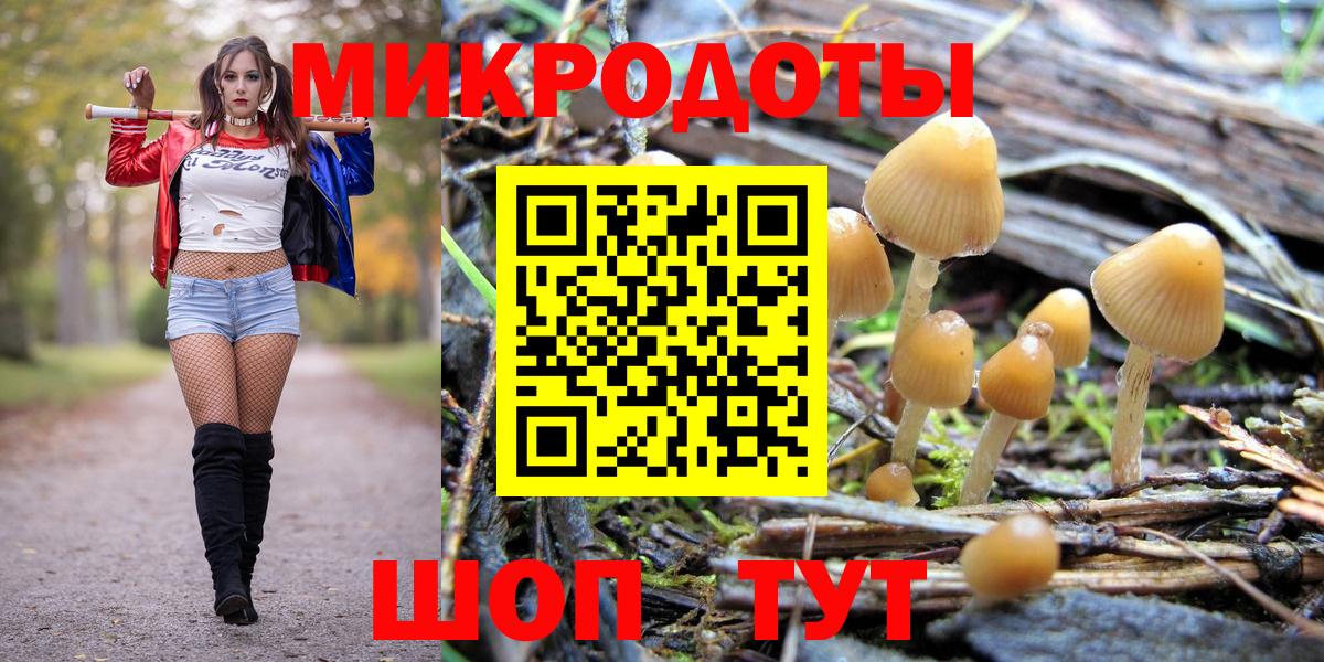 Куйбышев  Псилоцибиновые грибы Psilocybine cubensis  Вход с VPN 